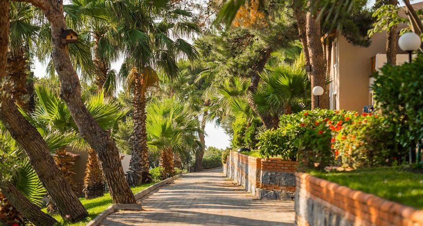 Pine Bay Holiday Resort